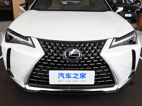 2024�� 300h ̽Ȥ��