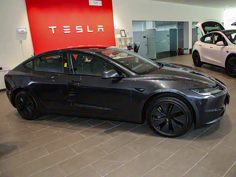 2023�� ����������