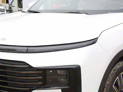 2025�� 1.5T �������Ȱ� 7��