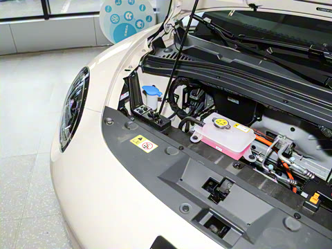 2024�� ֿ���� 330km Lite