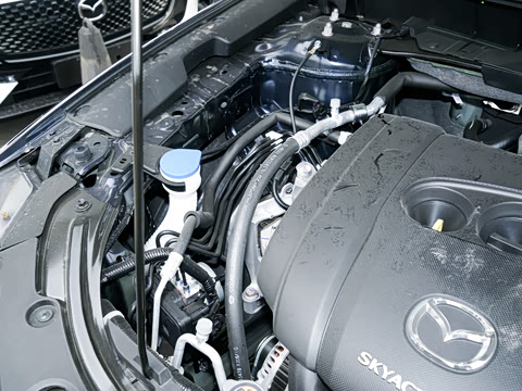 2025�� 2.0L �Զ�����������