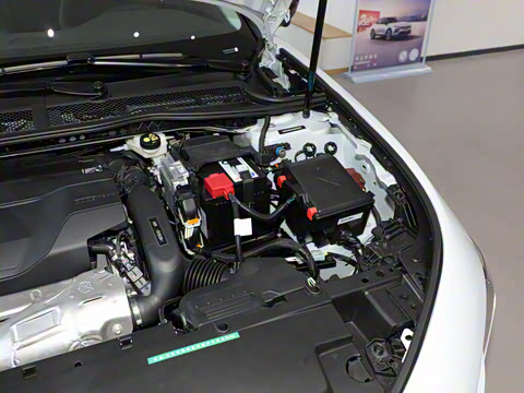 2025�� 508L 400THP Ԧ���콢��