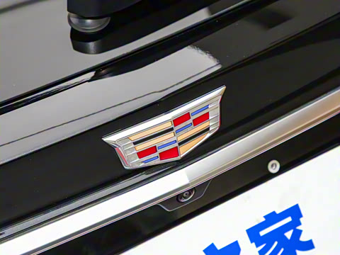 2023�� 25T �����