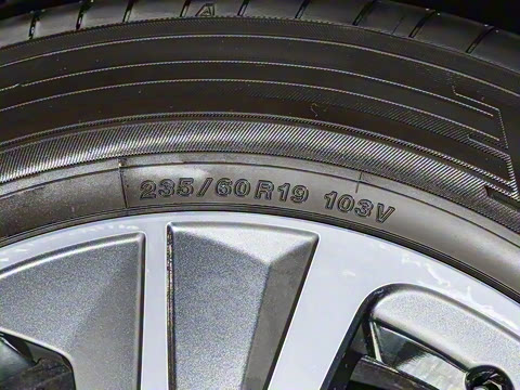 2023�� 350h ����������