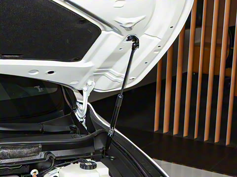 2023�� 350h ����������