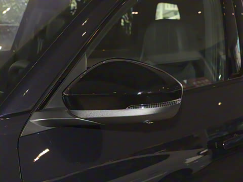 2025�� ;�� Pro 450TSI �����Ƿ��