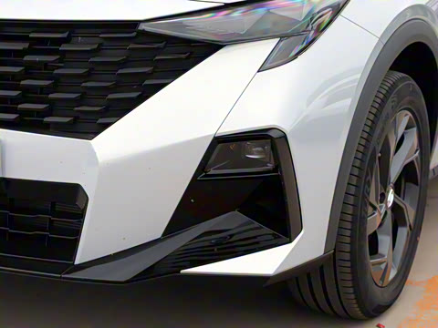 2025�� Ӱ�� 270T ������ ƽ������