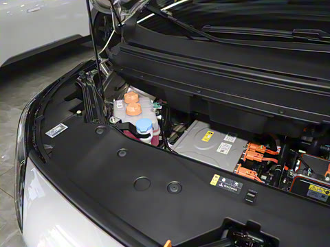 2024�� Younger ��ҫ��