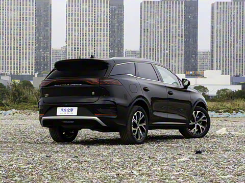 2025�� DM-i 115KM �����콢��