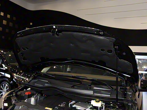 2024�� V 300 L ����������