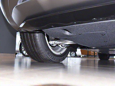 2024�� ���������������