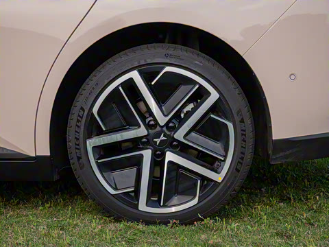 2025�� 502 ������ Max