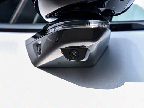 2025�� �������� Max �콢��