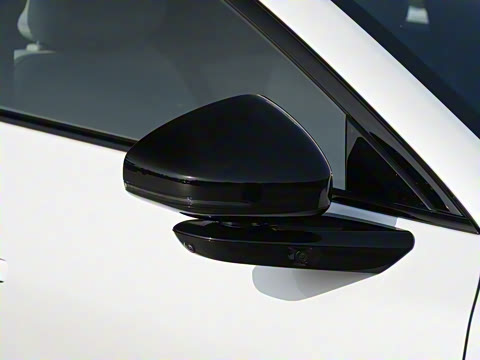 2025�� 502 ������ Max