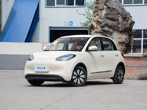 2025�� 333km ������