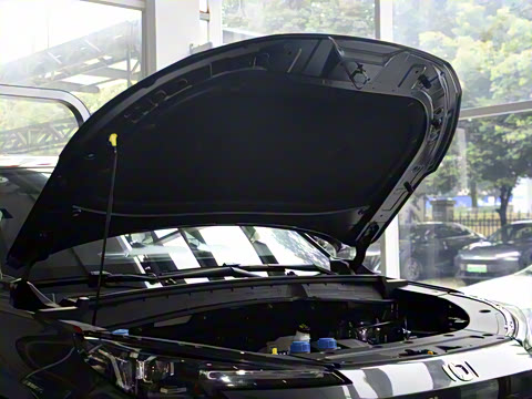 2025�� ����� 125 ��Խ��