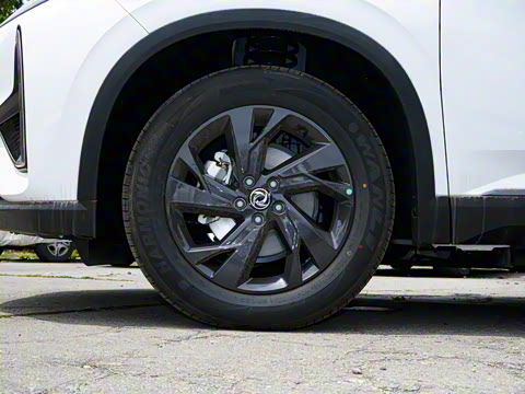 2025�� 518������