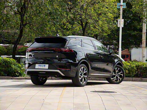 2025�� DM-i 115KM ������