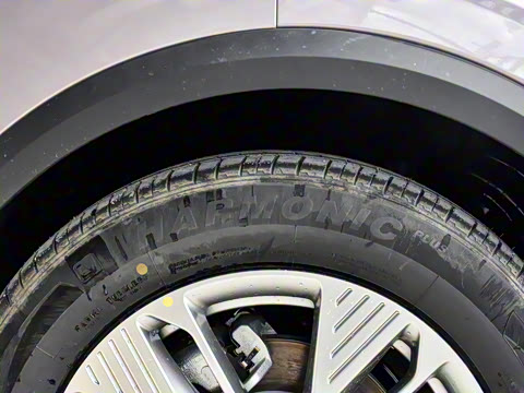 2025�� 445km ��ѡ��