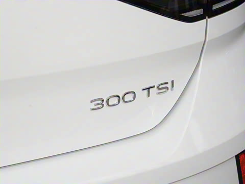 2025�� �Ŀ�� 300TSI DSG���������
