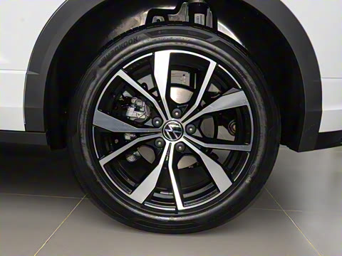 2025�� �Ŀ�� 300TSI DSG���������