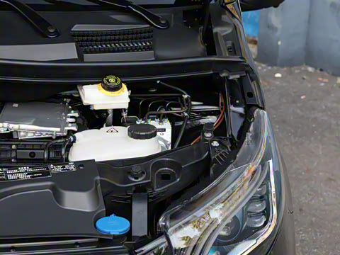 2025�� �����ű���