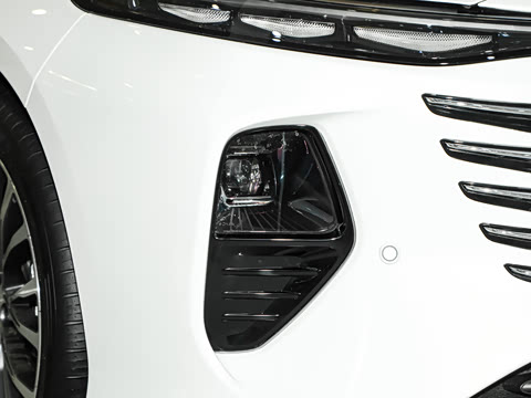 2024�� ���Ĵ� 2.0T �캽��