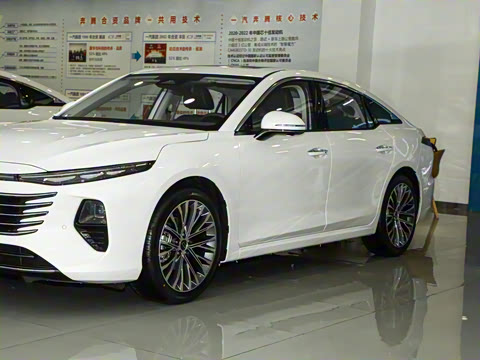 2024�� ���Ĵ� 2.0T �캽��