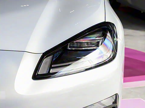 2025�� 520�Ǻ���