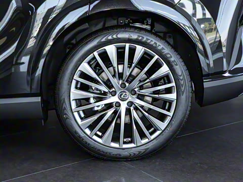 2023�� 350h ����������