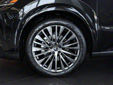 2023�� 350h ����������