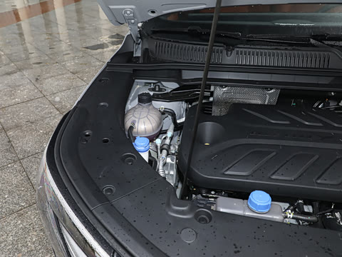 2025�� ���Ĵ� 1.5T ������ �ǻ��콢��