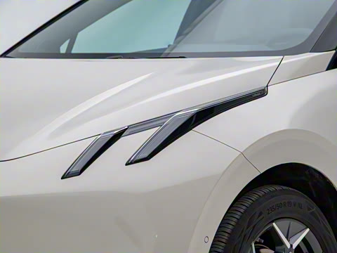 2025�� 530km ����Max