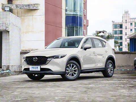 2024�� 2.0L �Զ�����������