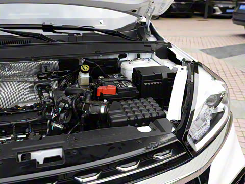 2024�� 230TCI �Զ��³��� 7��