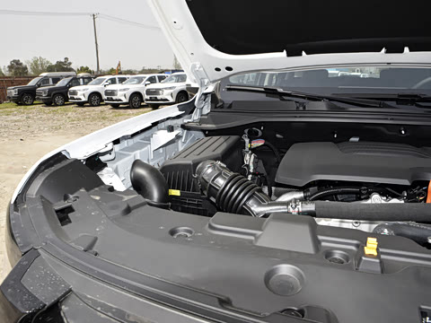 2025�� 2.0T�Զ������촴�� ����