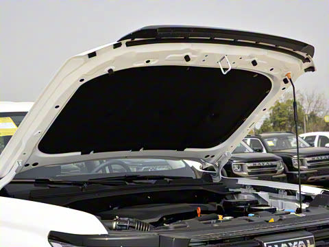 2025�� 2.0T�Զ������촴�� ����