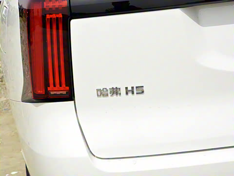 2025�� 2.0T�Զ������촴�� ����