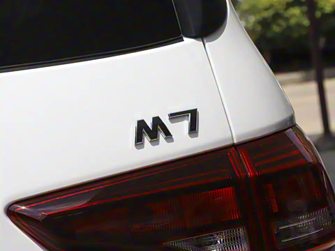 2025�� 2.0L CNG��Ӣ�� 7��