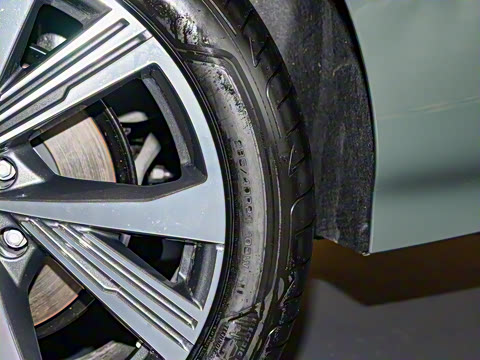 2026�� ����������