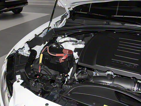 2025�� P250 R-Dynamic SE