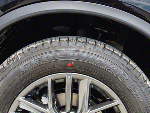 2025�� ���� 2.0L �������Ȱ�