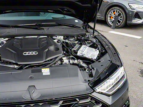 2025�� 55 TFSI quattro ������