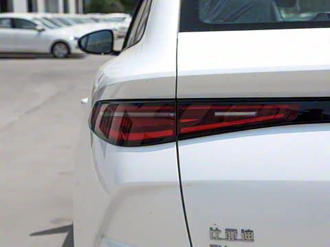 2025�� 520�ǻݰ�