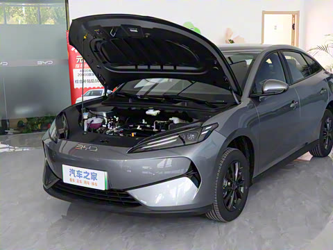 2025�� 520�ǻݰ�