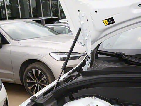 2025�� B5 �������ݺ�����