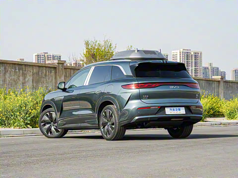 2025�� DM 175KM���˻���Ұ�