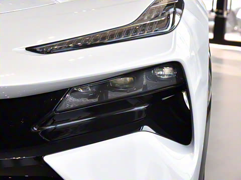 2025�� �����׷�������