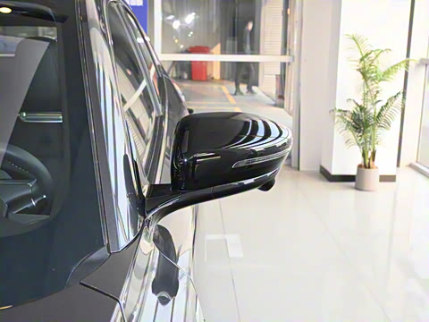 2025�� ����� 125 ��Խ��