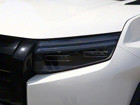 2025�� 501KM ����Max��